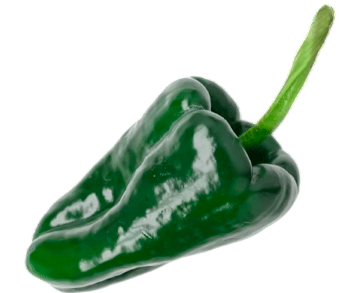 Chile Dos