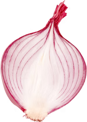 Onion